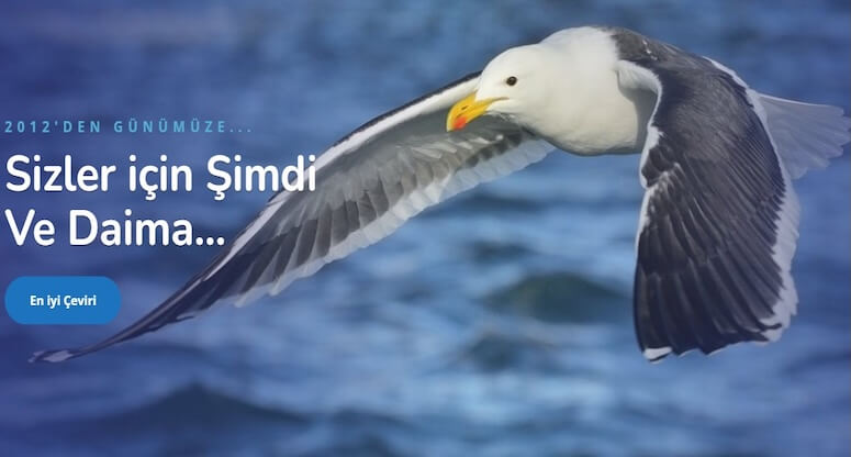 Türkçe Çince Çeviri ve Azerbaycan Türkçe Çeviri - Okeanostercume.com.tr