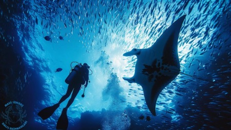 Mavi Yengeç Dalış Ekipmanlarıyla Sualtının Sınırlarını Güvenle Keşfedin