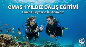 CMAS 1 Yıldız Dalıcı Kursu Rehberi: Sualtı Dünyasına İlk Adımınız