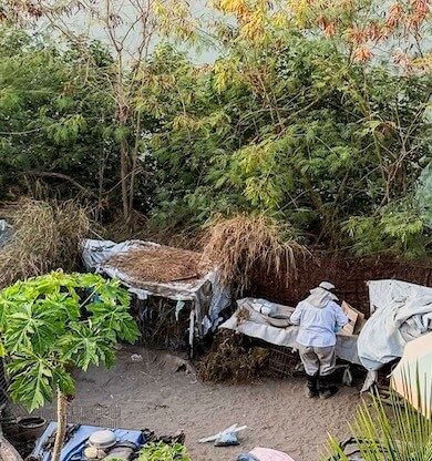 Tainan'ın Saklı Cenneti: Tayvan'ın En Güzel Gün Batımı Noktası Yuguang Adası