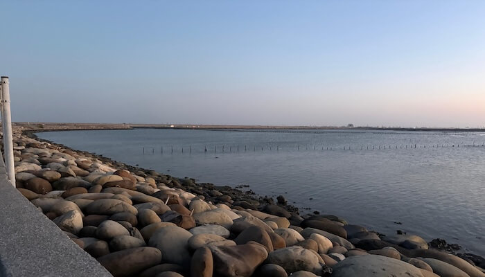 Tayvan’ın Beyaz Altın Mirası