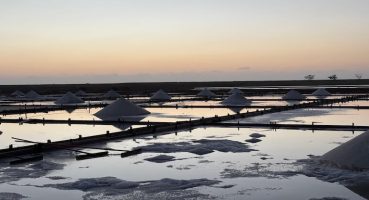 Tayvan’ın Beyaz Altın Mirası