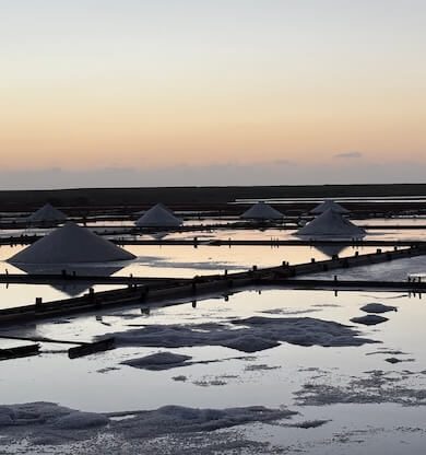 Tayvan’ın Beyaz Altın Mirası